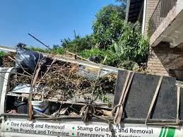 Best Recycling Services for Junk  in Robbinsdale, MN